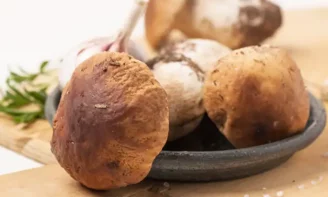 Cueillette des champignons : que dit la loi en France ?