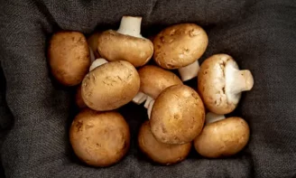 Que contiennent vraiment les champignons ? Valeurs nutritionnelles