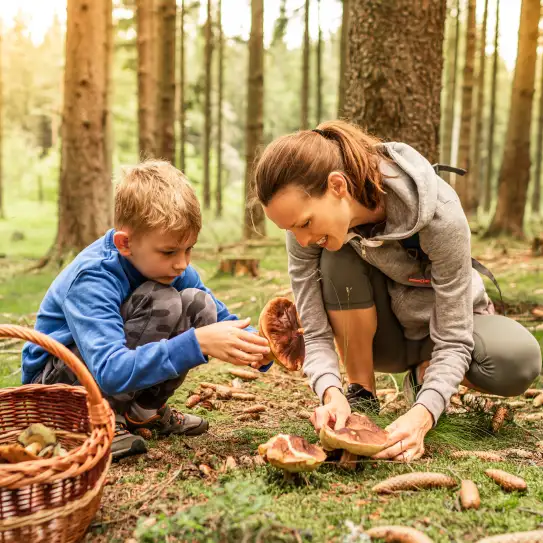 Photo d'une mère et son enfant ramassant des champignons