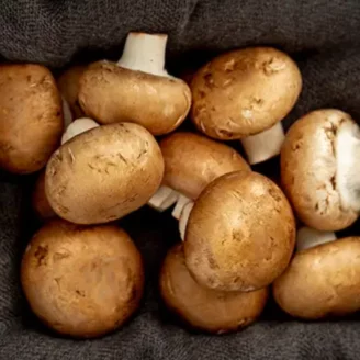 Que contiennent vraiment les champignons ? Valeurs nutritionnelles