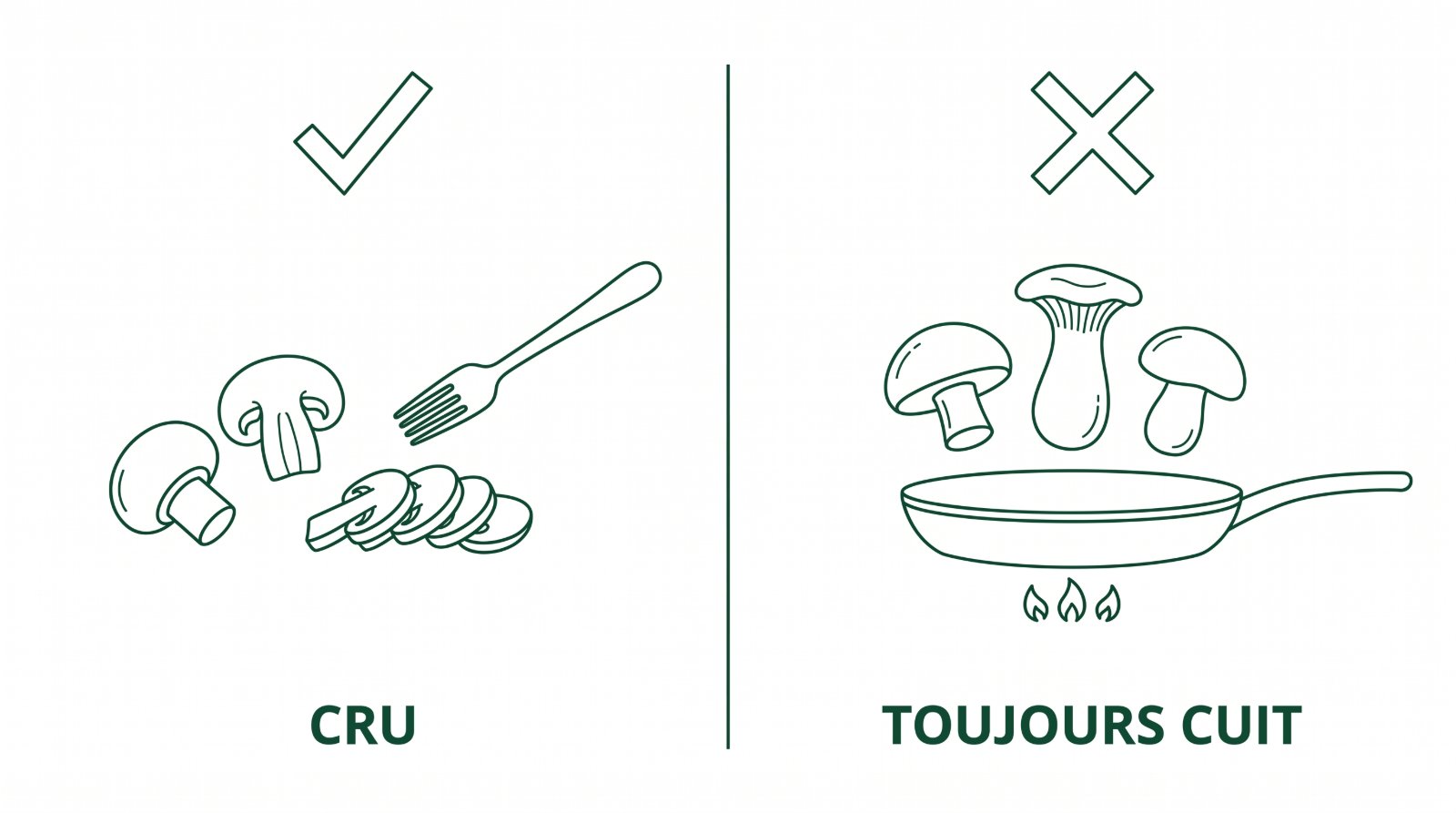 Schéma opposant les rares champignons consommables crus et la règle de la cuisson