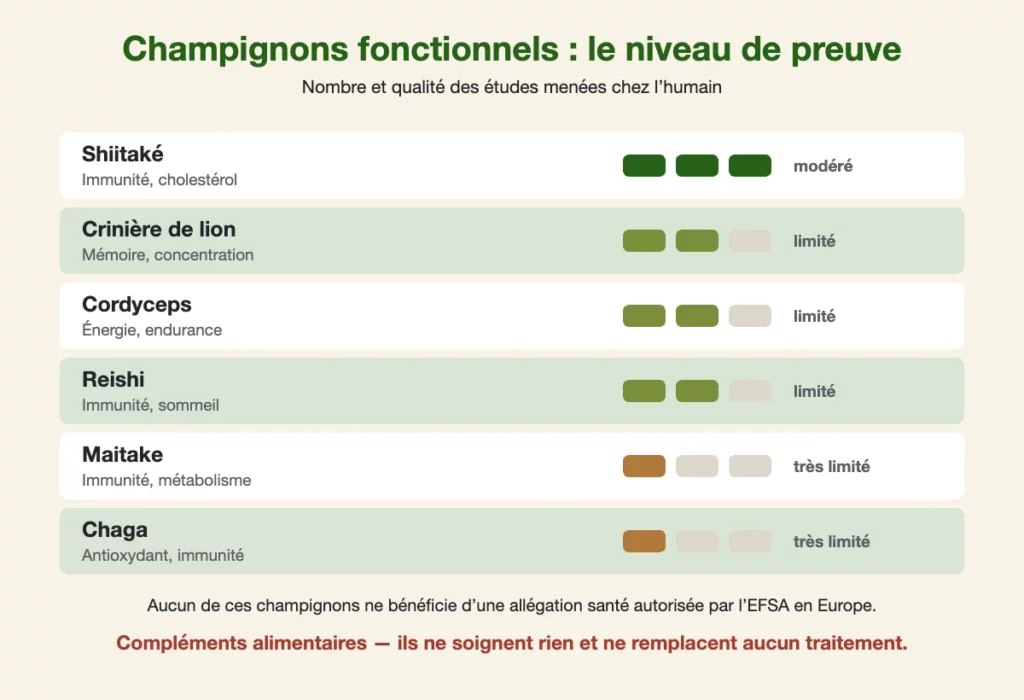 Schéma du niveau de preuve scientifique des champignons fonctionnels