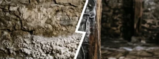 Mérule ou salpêtre : comment faire la différence