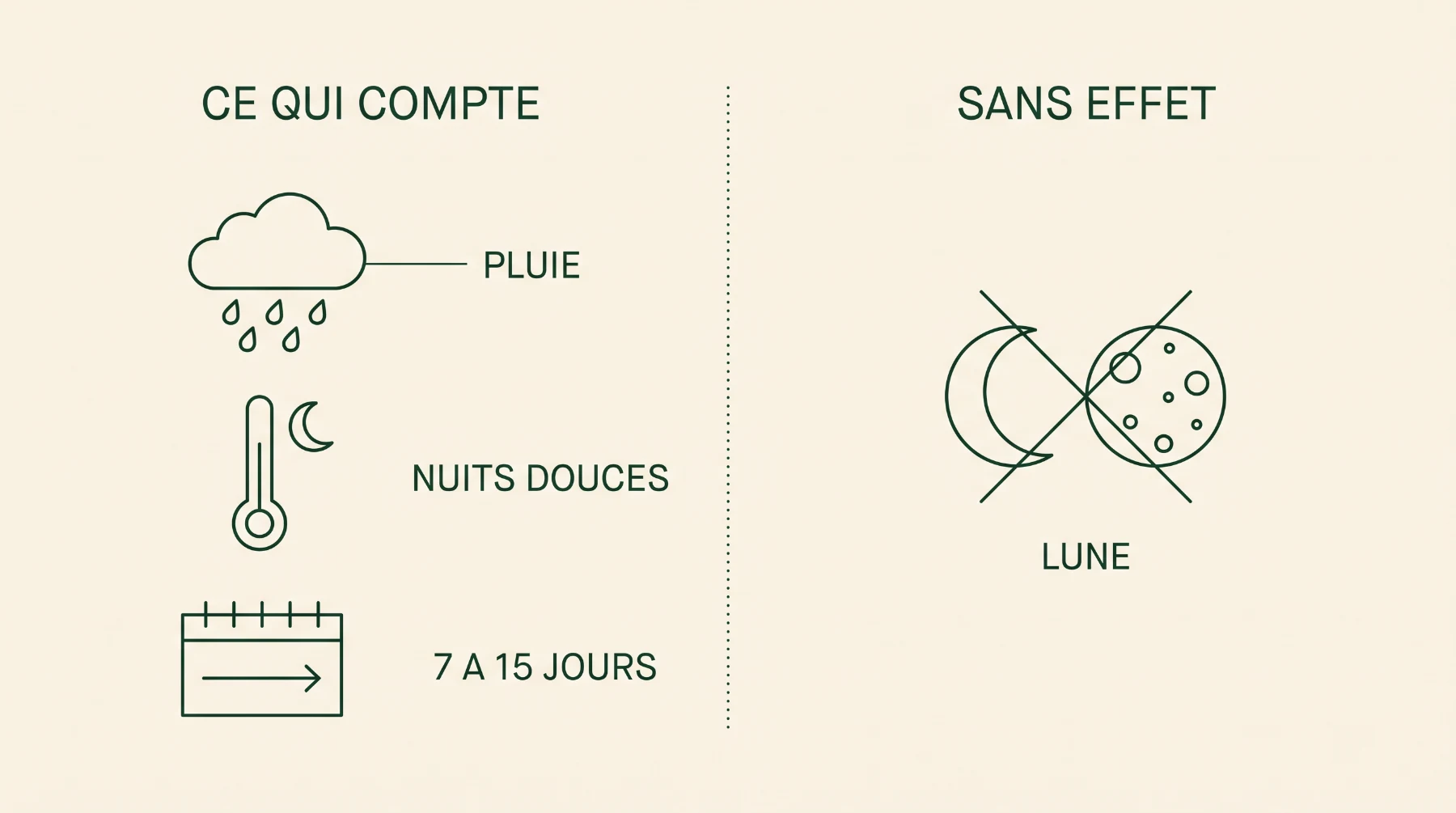 Schéma : ce qui compte pour la pousse (pluie, nuits douces, 7 à 15 jours) et ce qui est sans effet (la lune)
