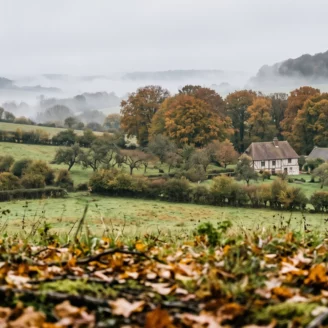 Les champignons de Normandie : où chercher, quoi ramasser, et les deux jours interdits